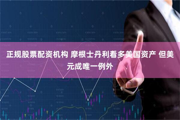正规股票配资机构 摩根士丹利看多美国资产 但美元成唯一例外
