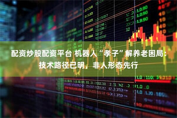 配资炒股配资平台 机器人“孝子”解养老困局：技术路径已明，非人形态先行