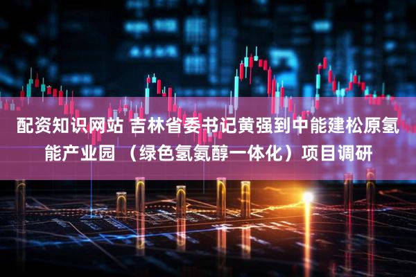 配资知识网站 吉林省委书记黄强到中能建松原氢能产业园 （绿色氢氨醇一体化）项目调研