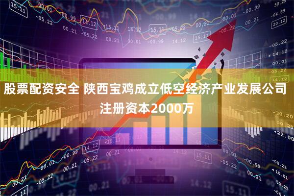 股票配资安全 陕西宝鸡成立低空经济产业发展公司 注册资本2000万