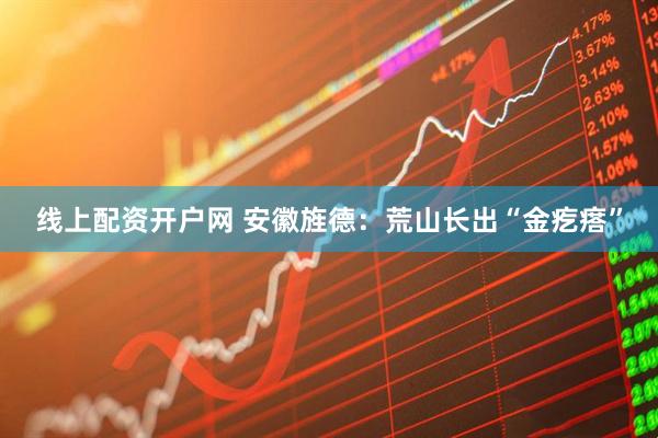 线上配资开户网 安徽旌德：荒山长出“金疙瘩”